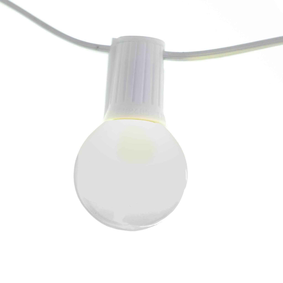 White G40 Light Bulbs - Lee Display