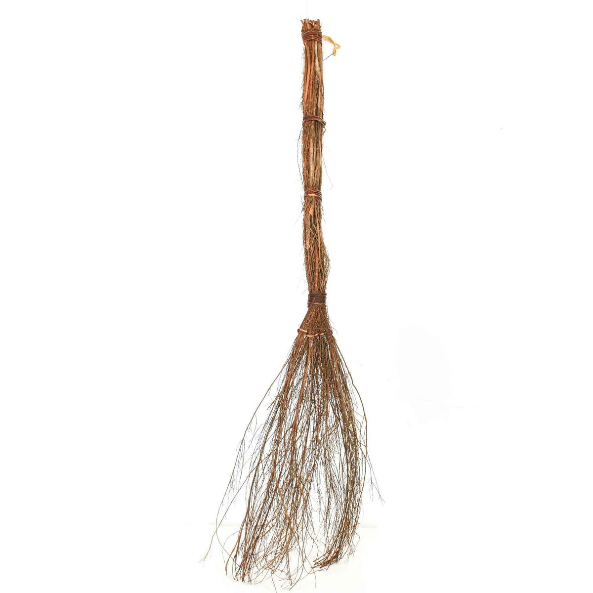 Witches Broom - Lee Display