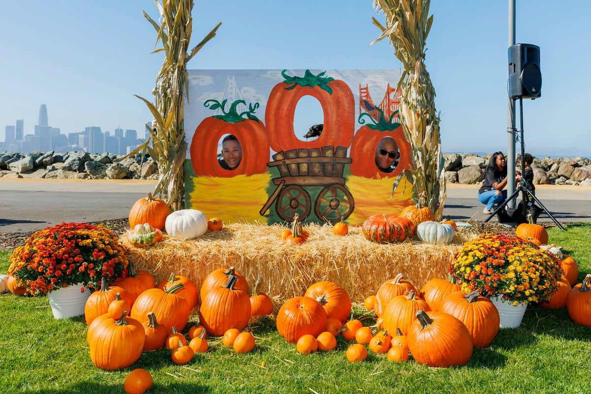 Treasure Island Pumpkin Patch Installation