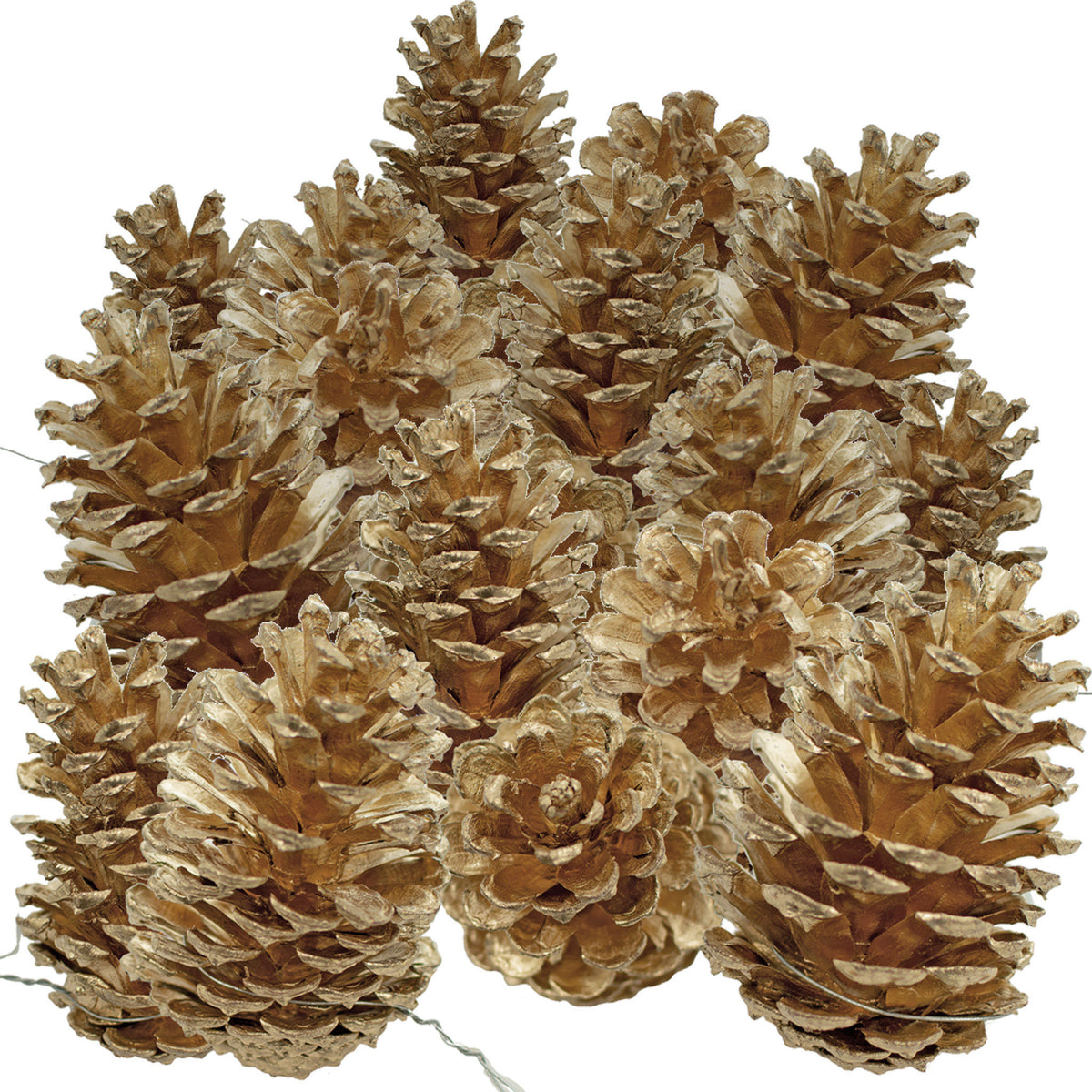 Gold painted pine cones come with bendable wires to attach to your holiday foliage.