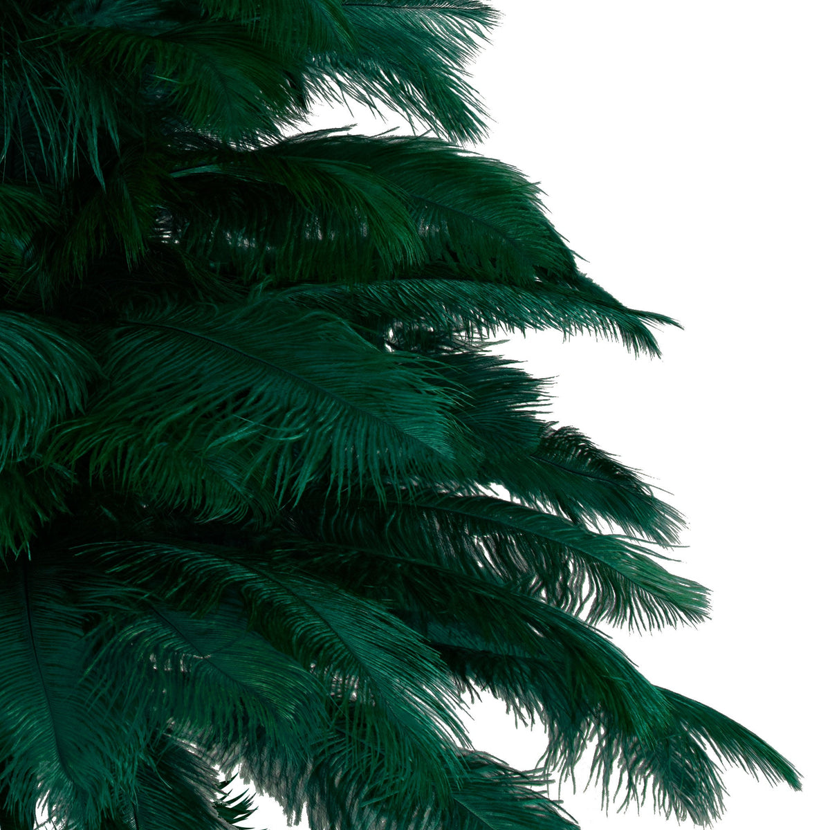 绿色鸵鸟羽毛圣诞树