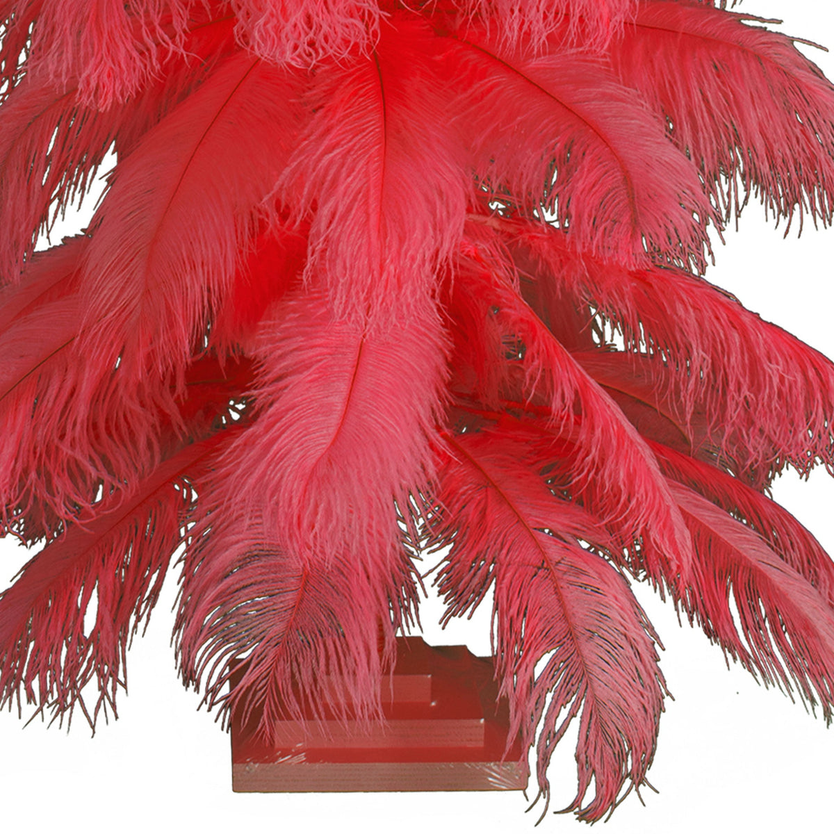 红鸵鸟羽毛树