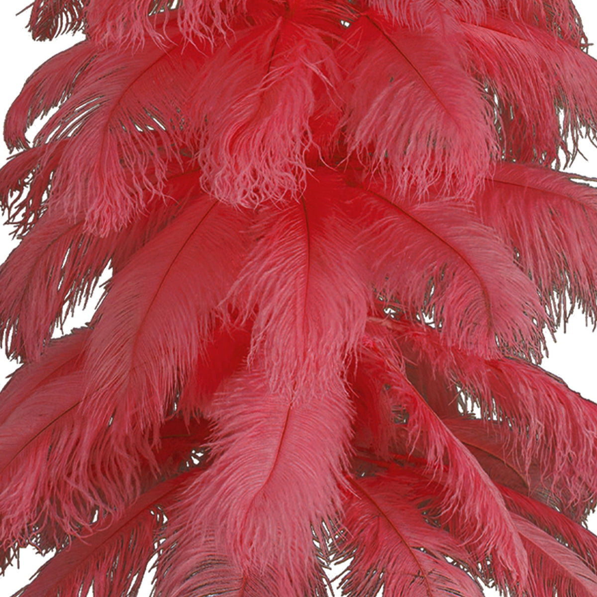 Red Ostrich Feather Tree