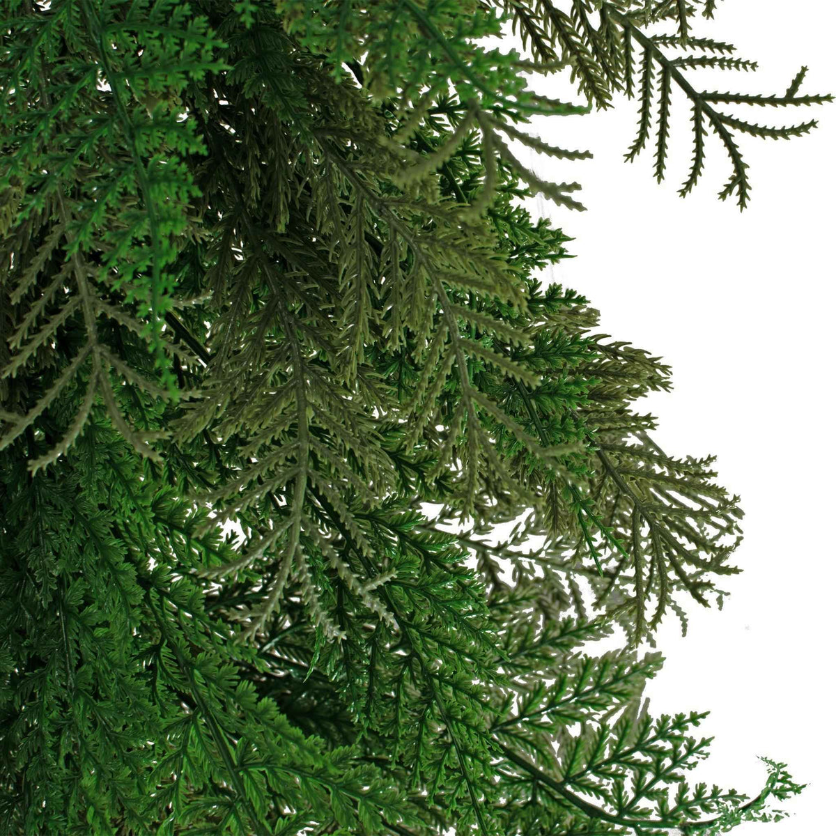 6FT Flocked Cedar and Cypress Garland - Lee Display