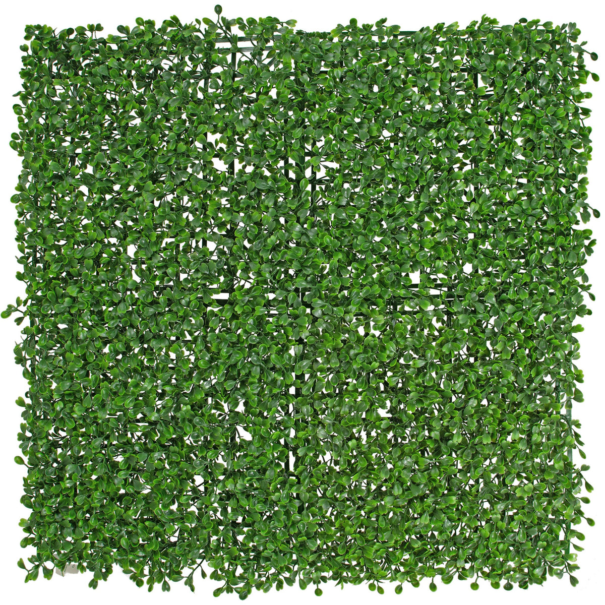 Introducing our Artificial Green Boxwood Wall Panels and Topiary Hedges.  Each panel measures 20in Width X 20in Length X 2in Thick.