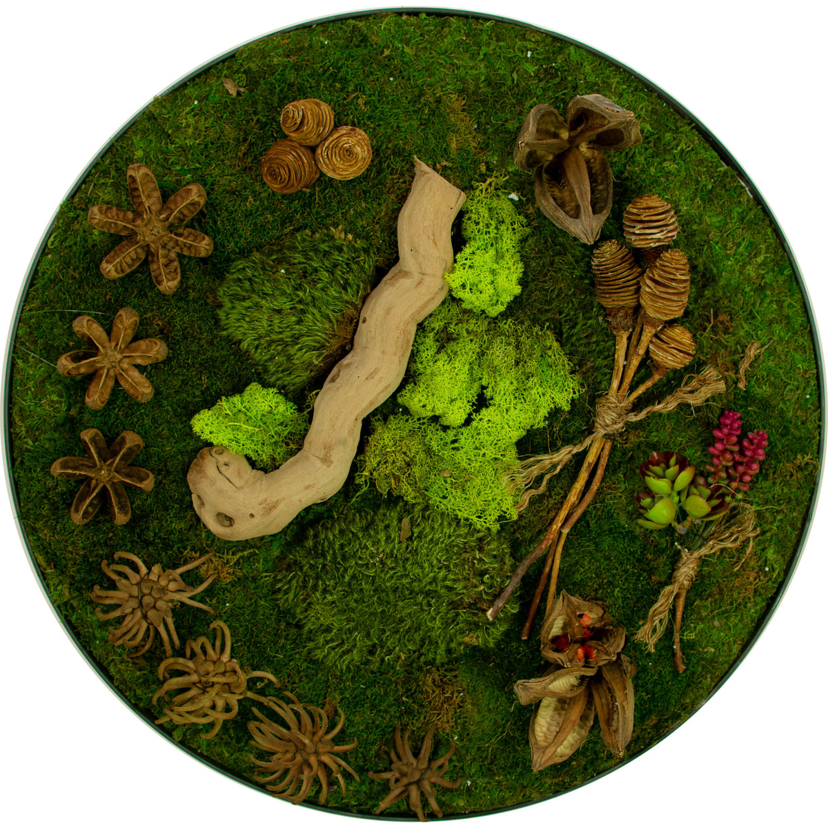 A photo of the circular preserved moss and succulent wall decor frame 