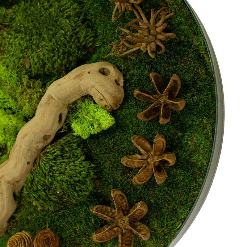 A closeup photo of the side of the circular preserved moss and succulent wall decor frame 