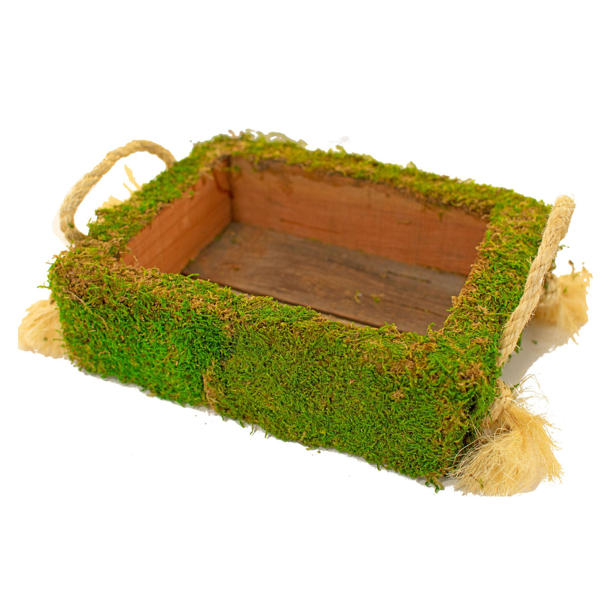 Moss Covered Succulent Box