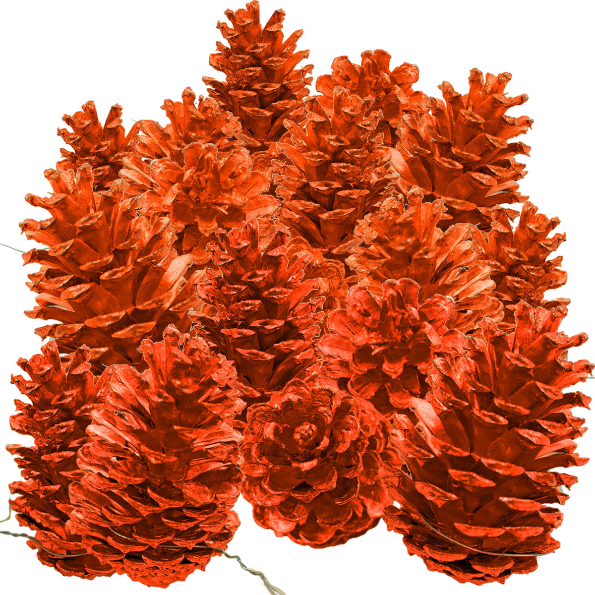 Orange Pine Cones