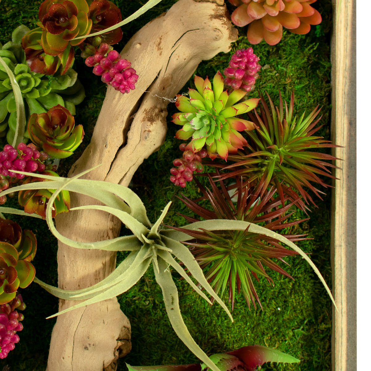 succulent moss Monterey Succulent & Moss Frame – Reclaimed Wood Wall Art – Lee Display