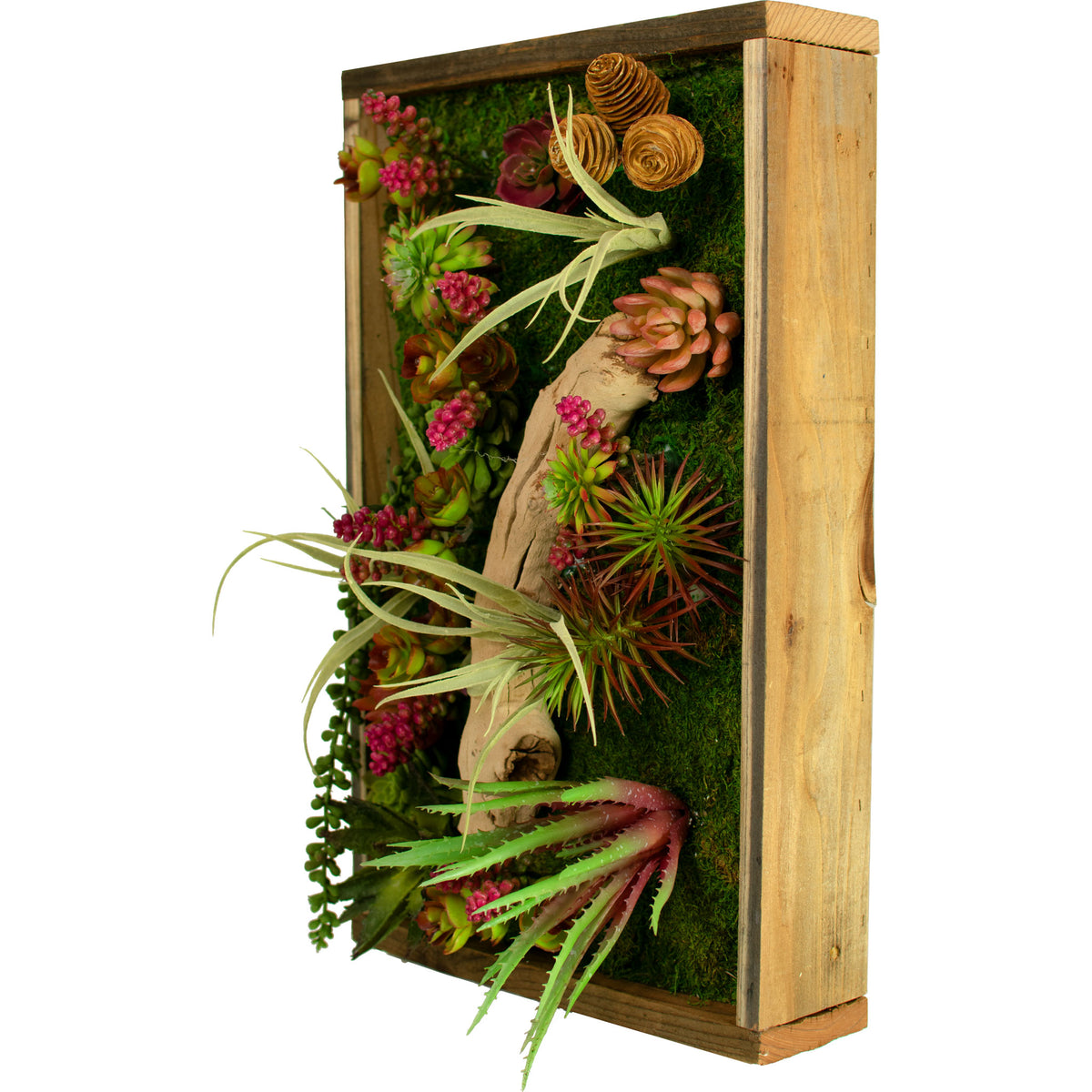 monterey bay succulents Monterey Succulent & Moss Frame – Reclaimed Wood Wall Art – Lee Display