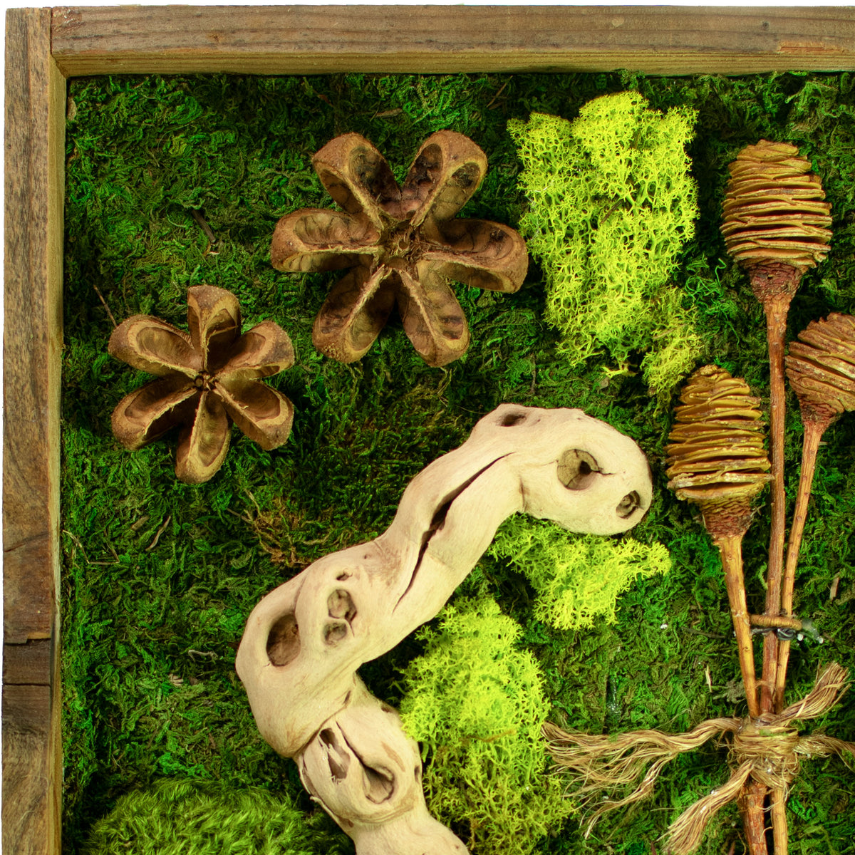 closeup of The California Moss & Succulent Frame top corner