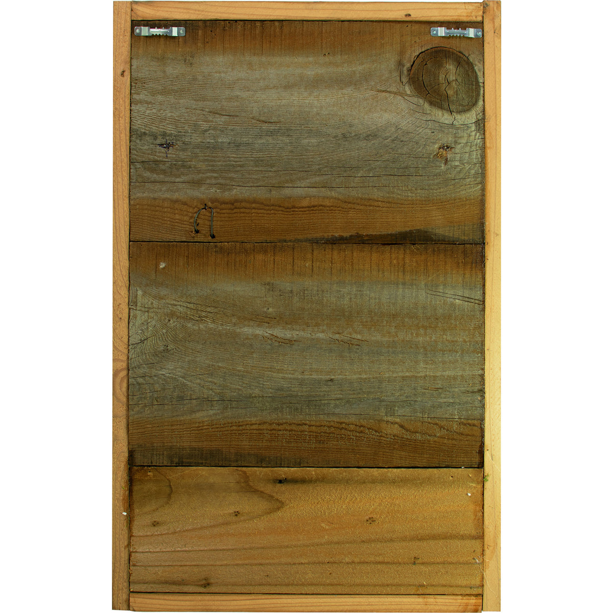 the back of The California Moss & Succulent Frame