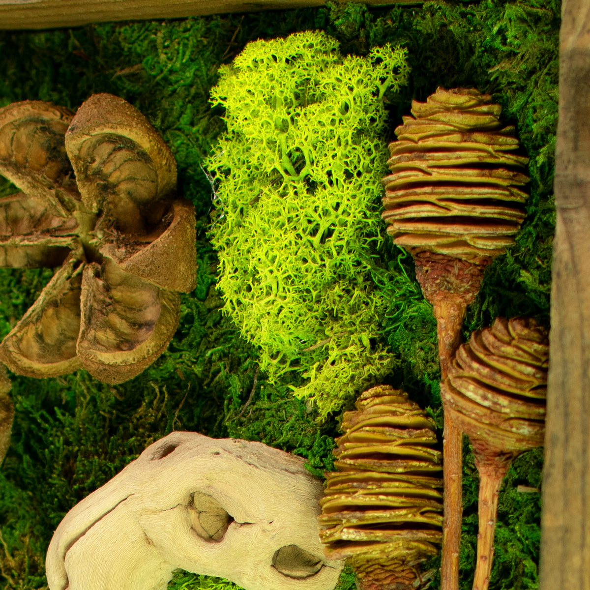 closeup of the preserved green moss of The California Moss & Succulent Frame