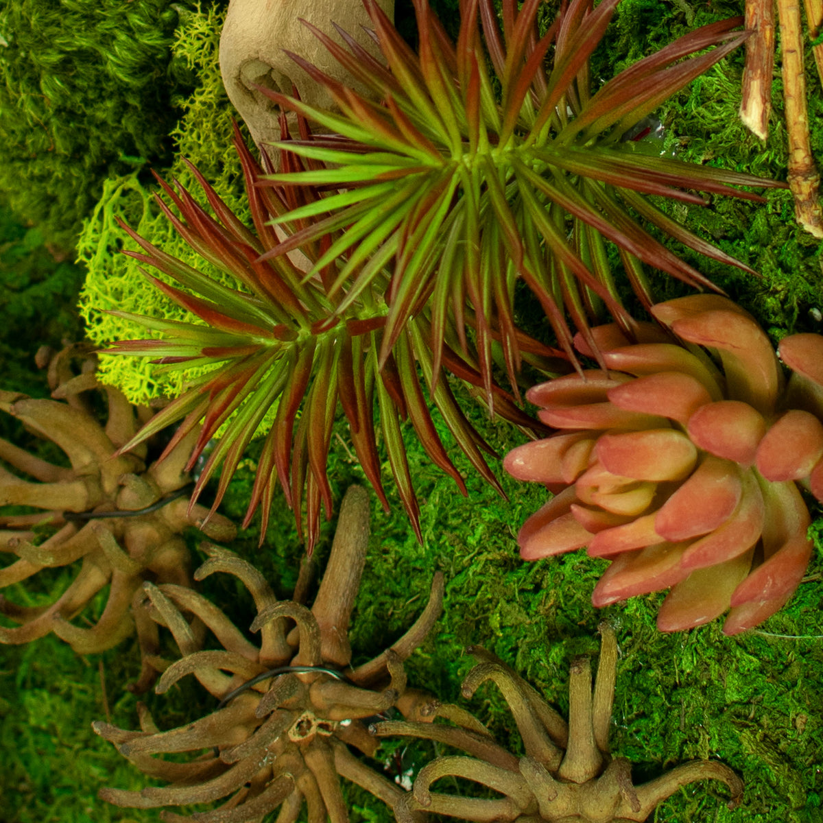 closeup of the artificial succulents of The California Moss & Succulent Frame