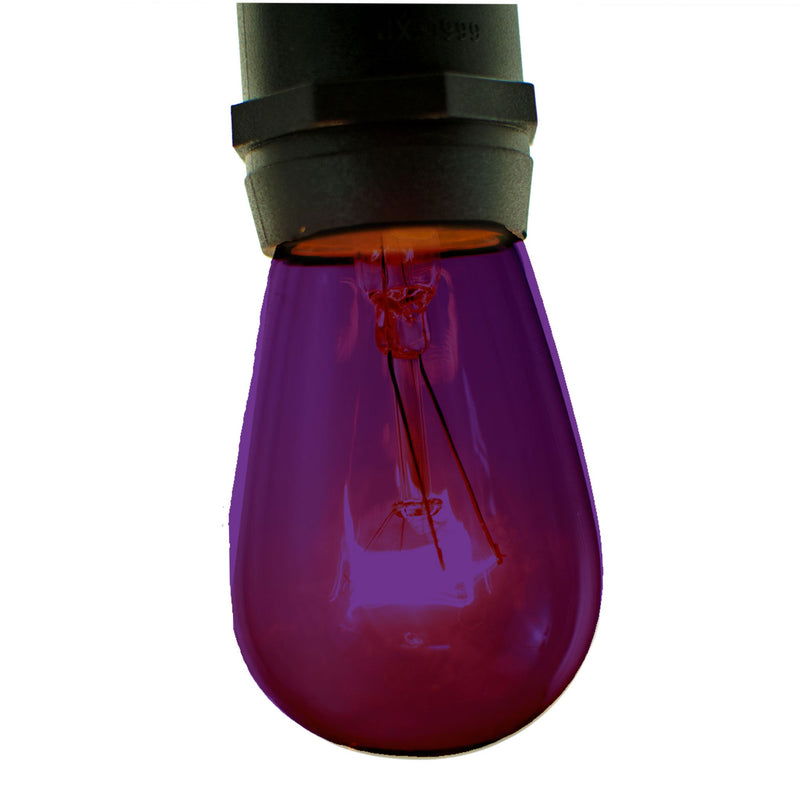 Purple S14 Bulb in a socket