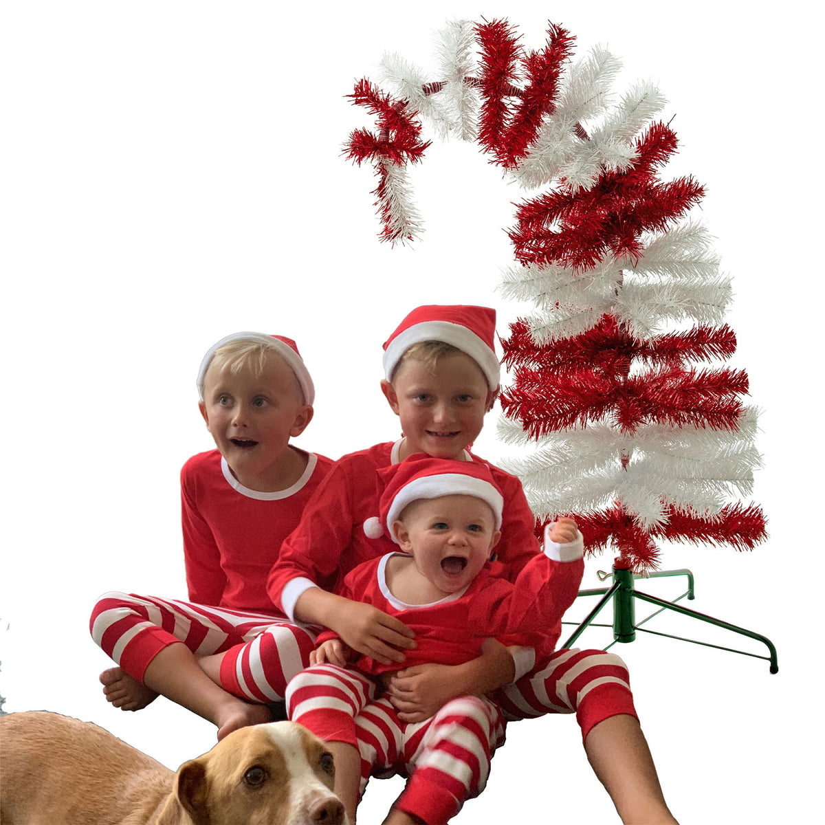 Dr. Seuss Red & White Tinsel Christmas Tree