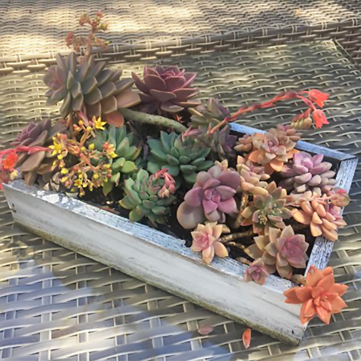 Rustic Redwood Planter Box Set with Rope Handles (9-Piece Collection)