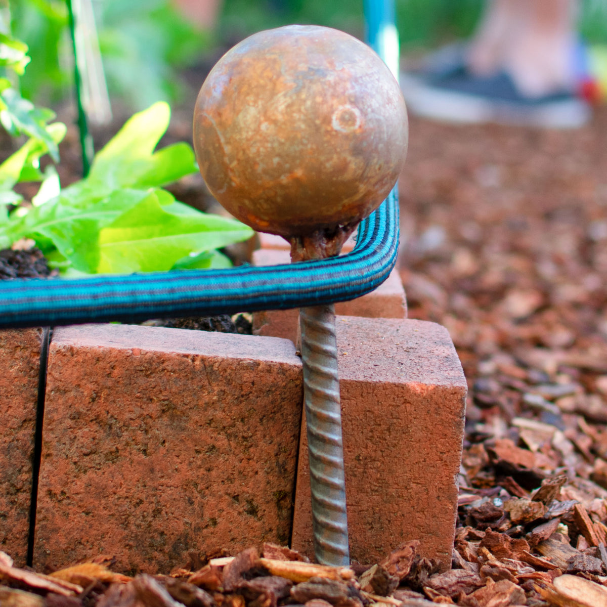 No more ruining your garden and trampling your vegetables!  Our Stakes with support your hose and make gardening easier than ever!