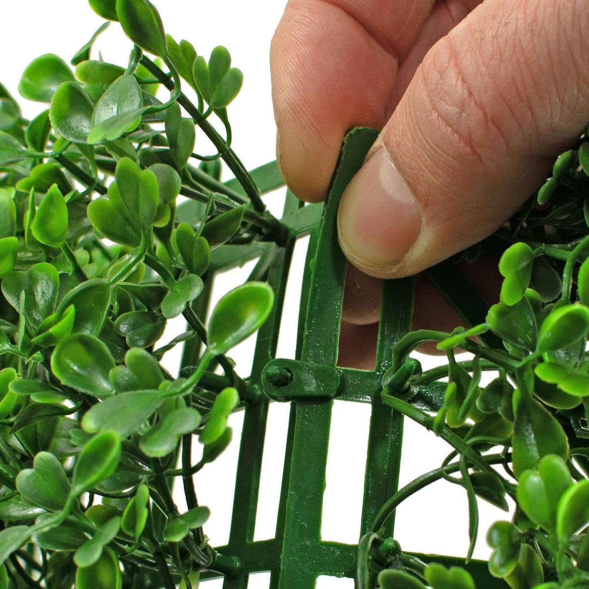 Boxwood Topiary Wall Panels 8 SQFT - Lee Display
