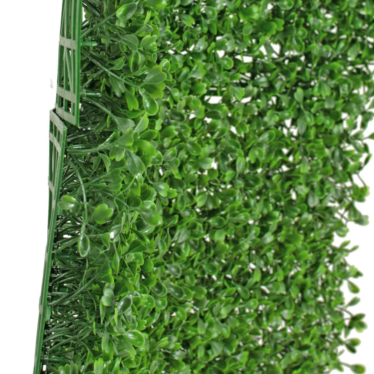Boxwood Topiary Wall Panels 8 SQFT - Lee Display
