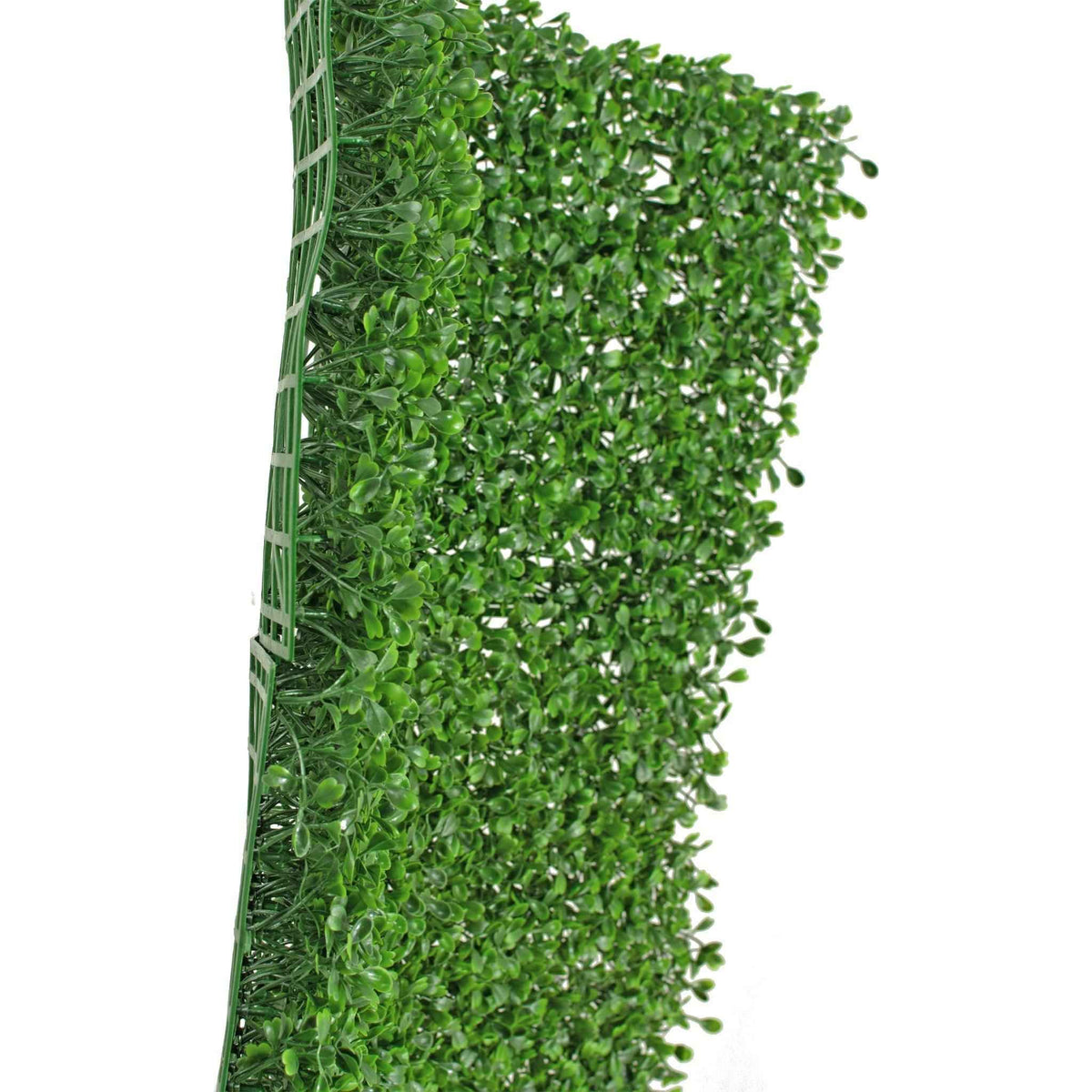 Boxwood Topiary Wall Panels 8 SQFT - Lee Display