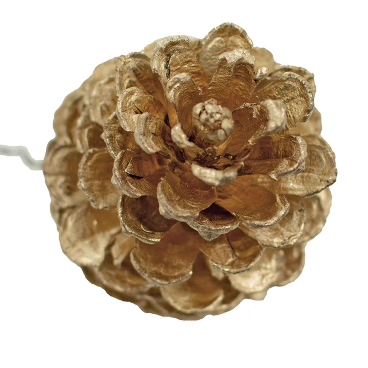 Gold Pine Cones with Hanging Wires - Lee Display
