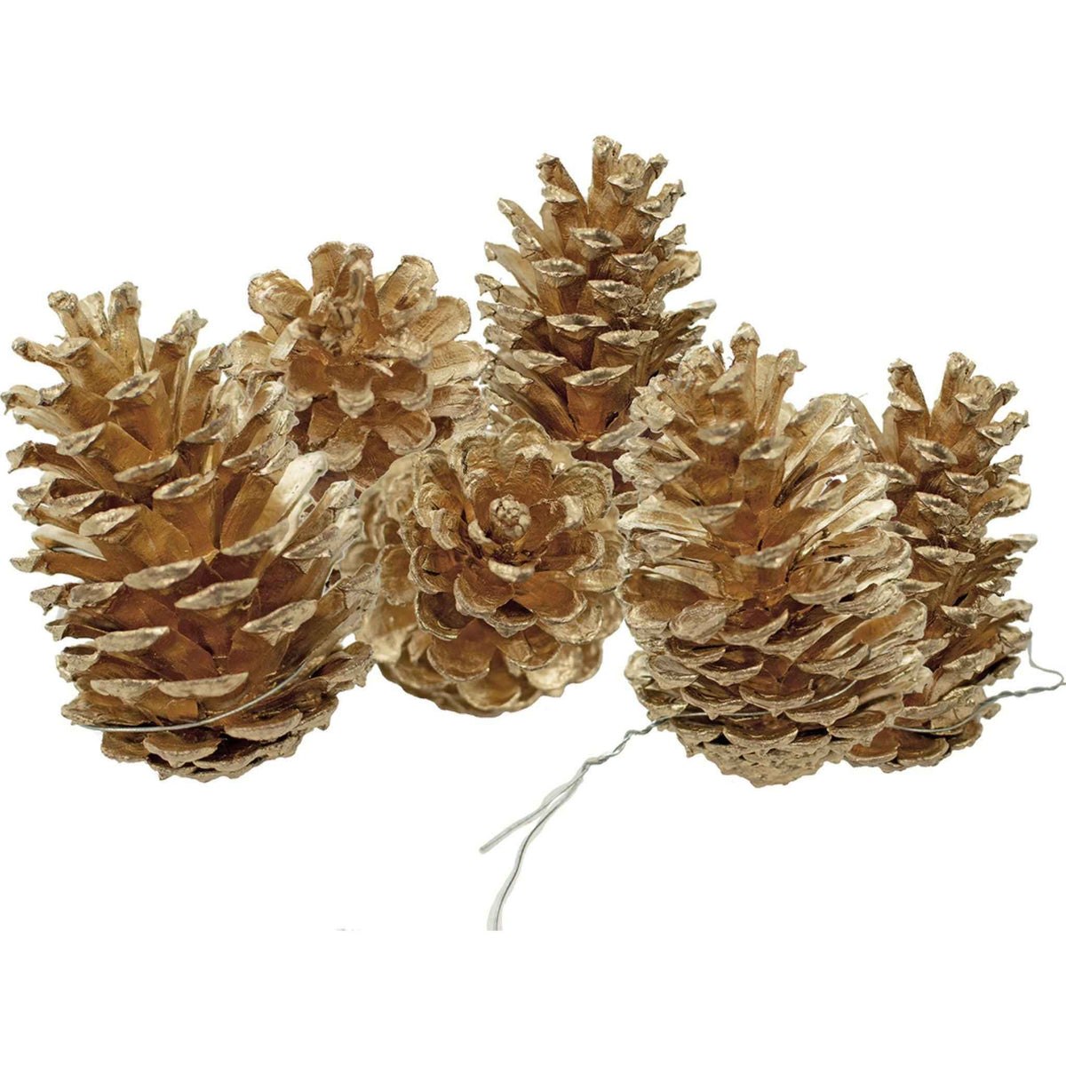 Gold Pine Cones with Hanging Wires - Lee Display