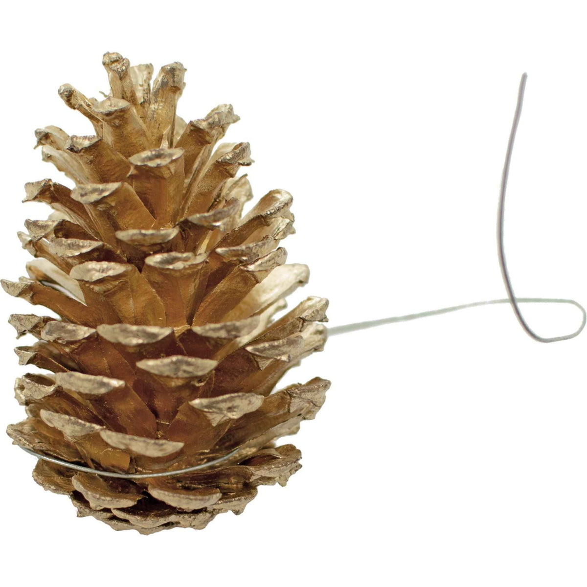 Gold Pine Cones with Hanging Wires - Lee Display
