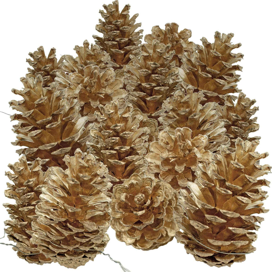 Gold Pine Cones with Hanging Wires - Lee Display