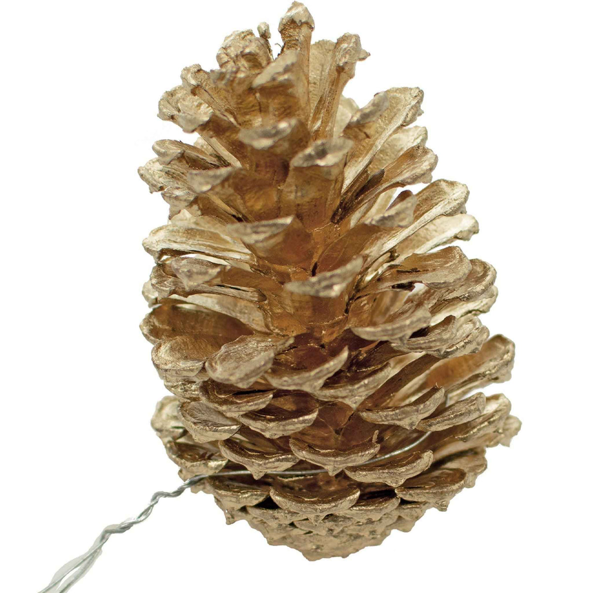 Gold Pine Cones with Hanging Wires - Lee Display