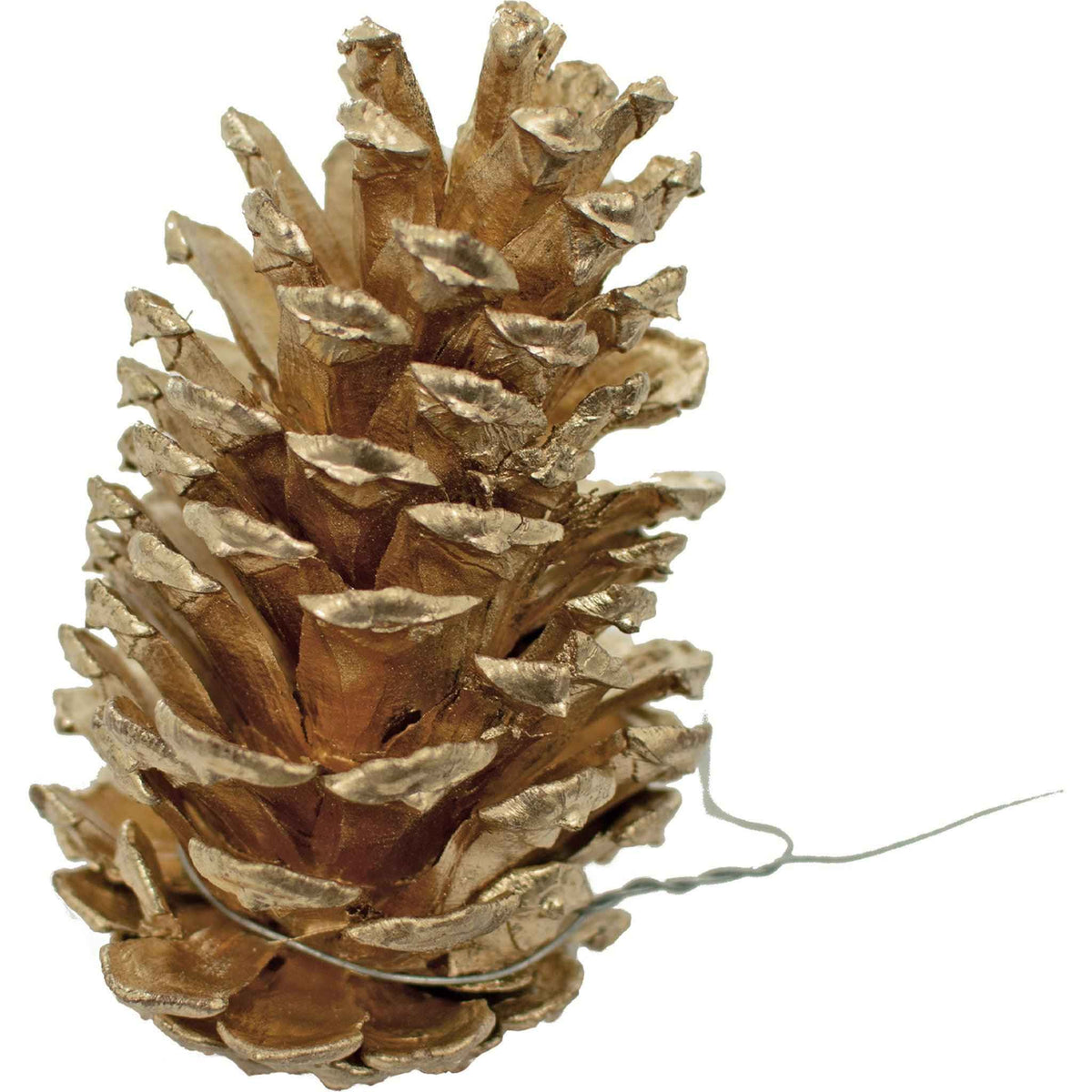 Gold Pine Cones with Hanging Wires - Lee Display