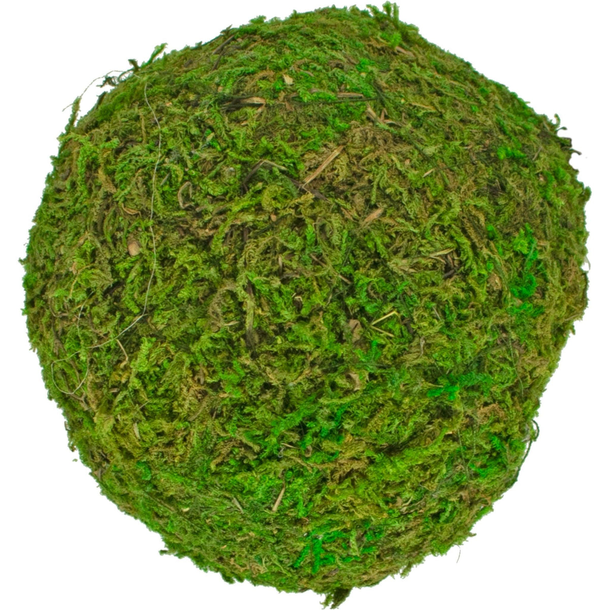Purchase a brand new bundle of real natural green moss balls for your rustic home decor accents and centerpieces.  Sold now at leedisplay.com
