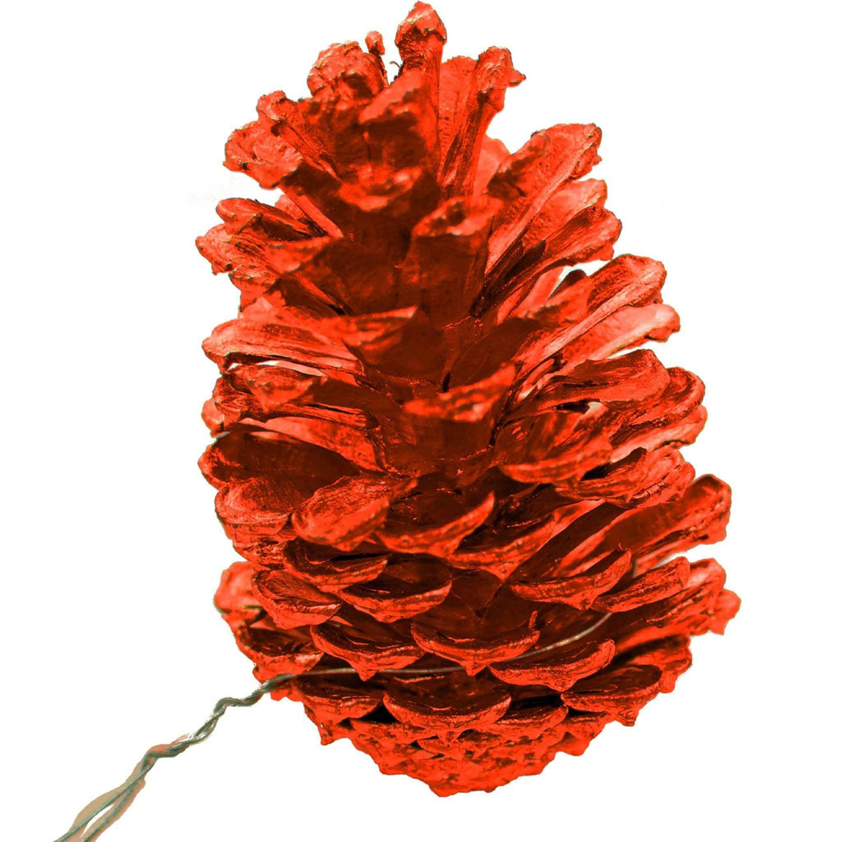 Orange Pine Cones - Lee Display