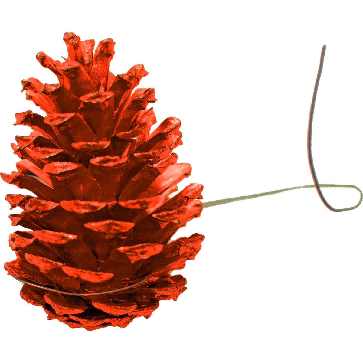 Orange Pine Cones - Lee Display
