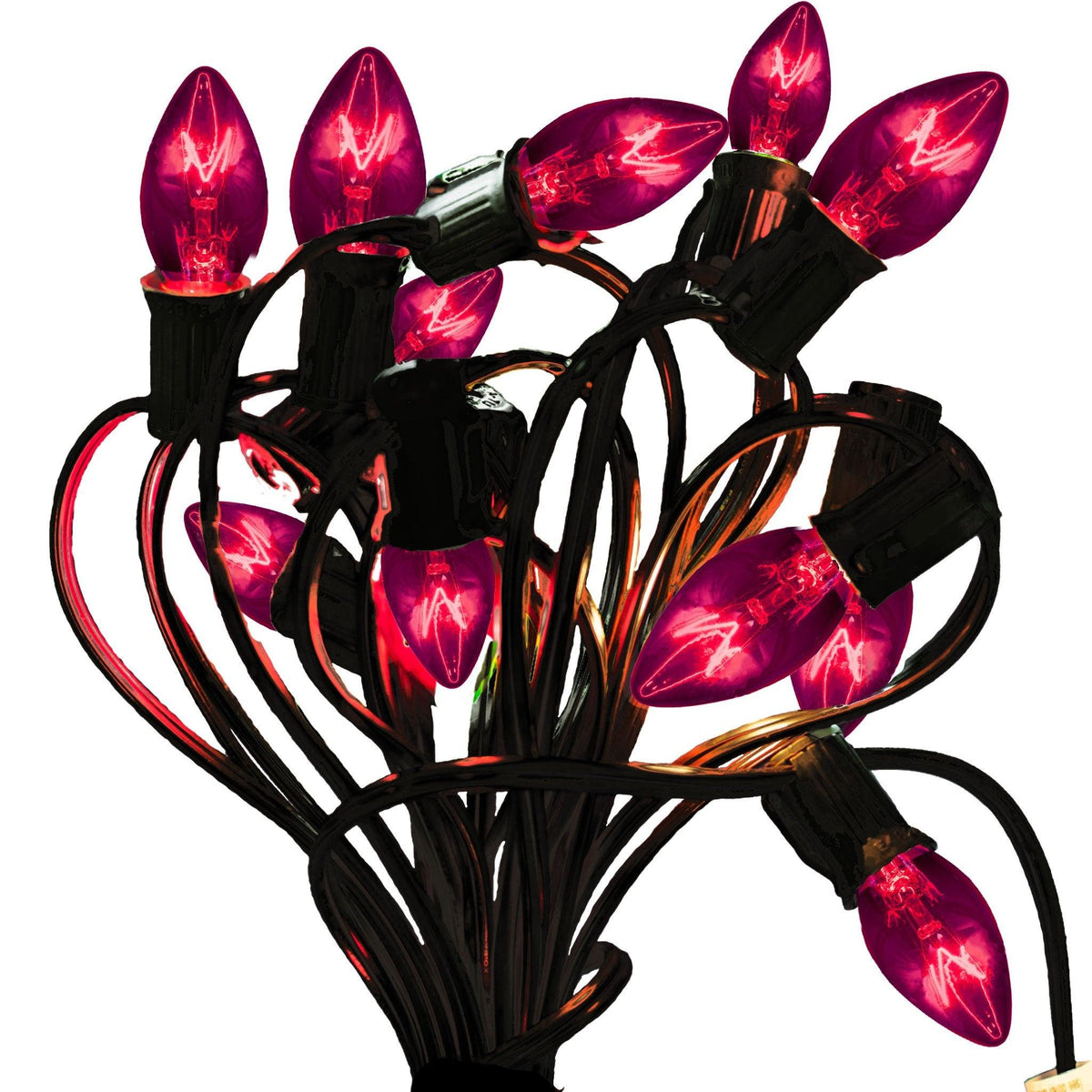25FT Purple Outdoor String Lighting Set!    Choose between Twinkling Bulbs and Steady Burning Bulbs, White Wire or Green Wire Cords, C7 & C9 Size available.