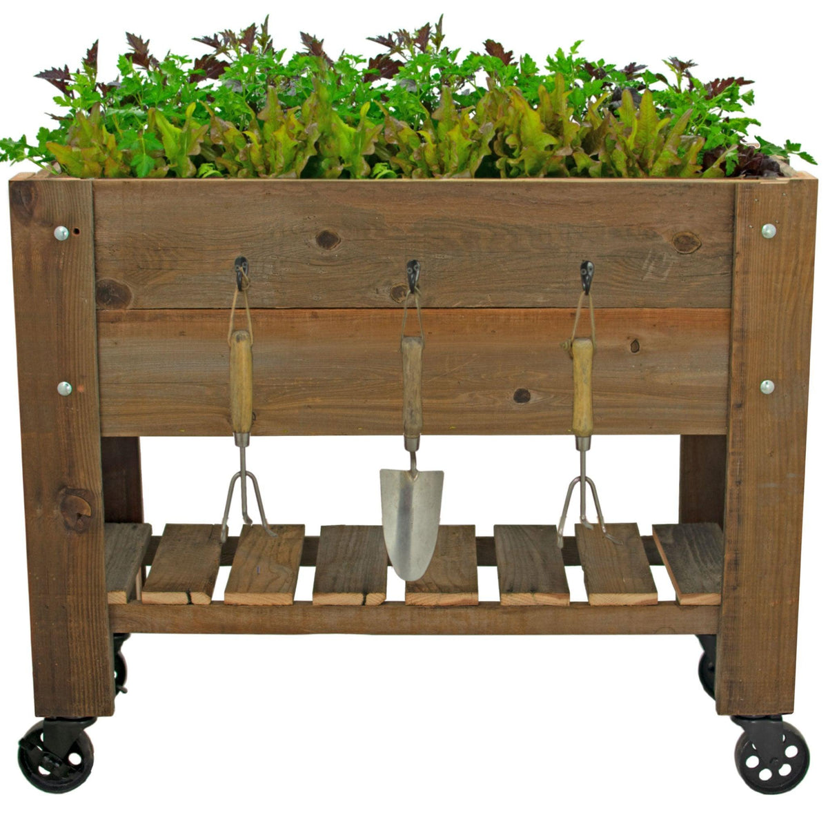 Introducing Lee Display's brand-new Redwood Raised Bed Planter Box with Shelf & Vintage Black Casters Create the perfect little garden inside your home this summer. On sale now at leedisplay.com
