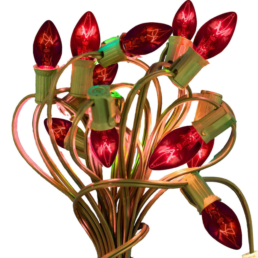 Red Outdoor String Lights - Lee Display