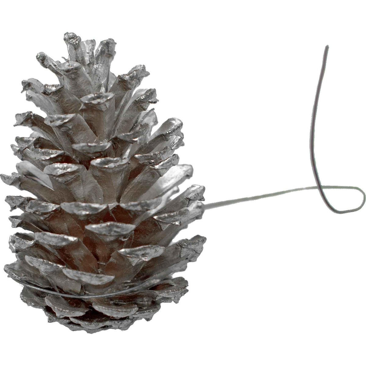 Silver Pine Cones - Lee Display