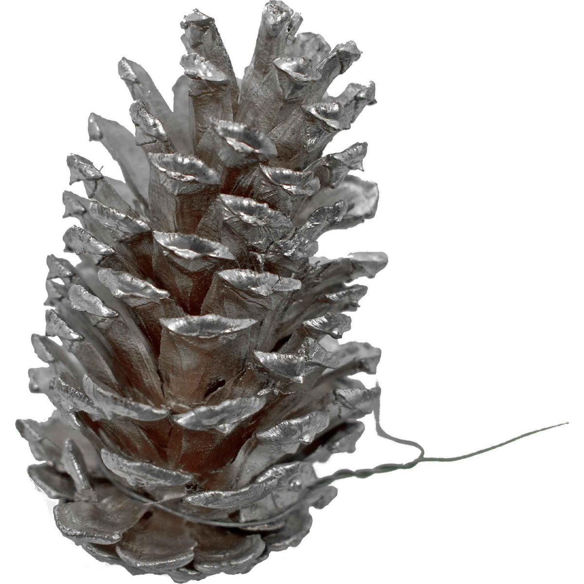 Silver Pine Cones - Lee Display