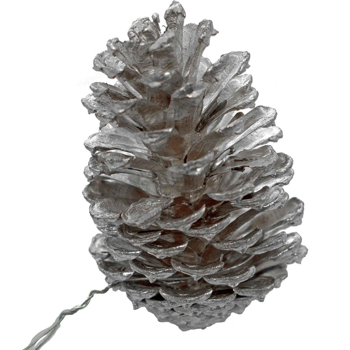 Silver Pine Cones - Lee Display