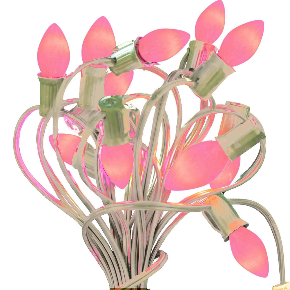 Buy brand new box of C7/C9 Pink Christmas Light Bulbs at Lee Display