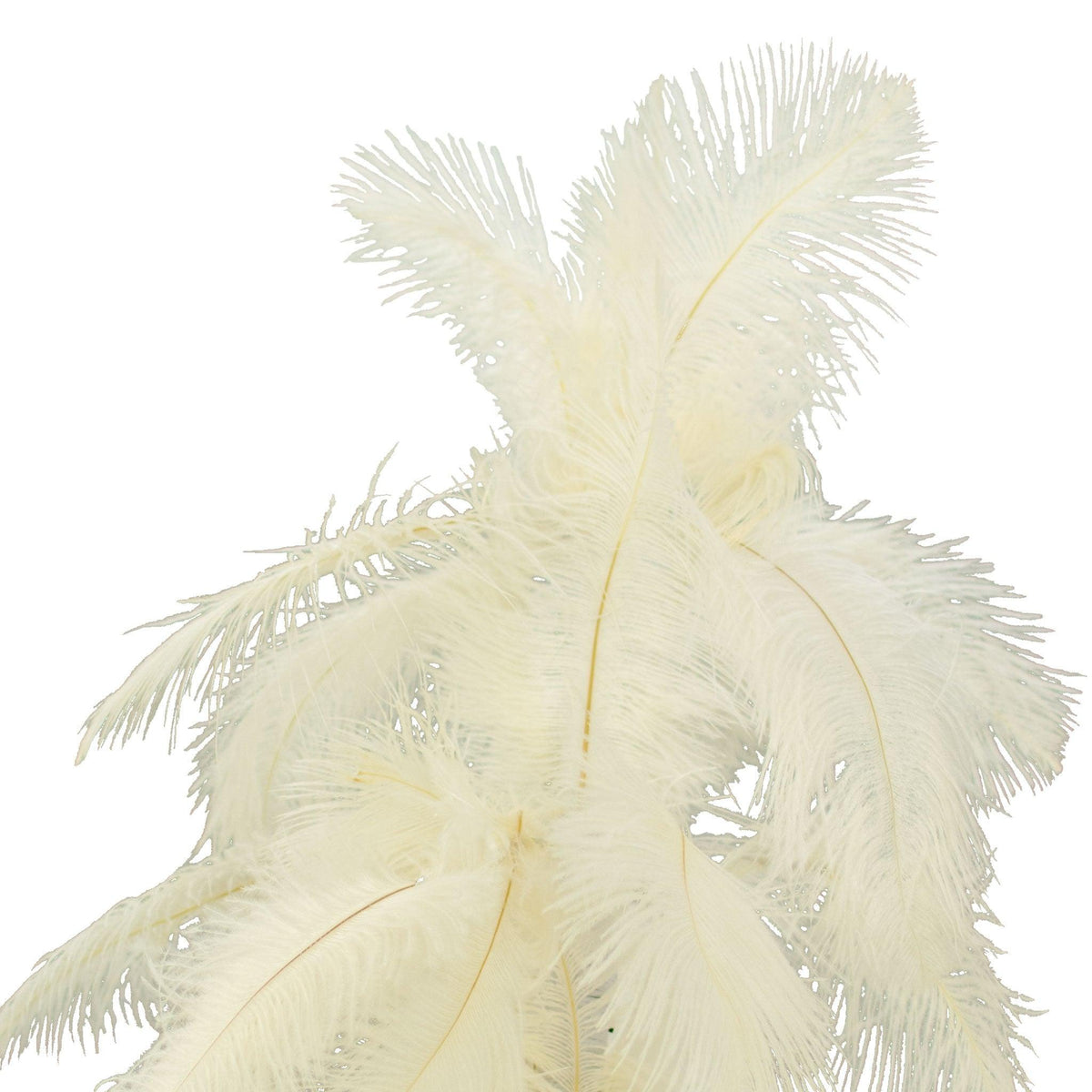 Wavyknot 51 Pieces White Ostrich Feathers for Christmas Tree Decoration  8-10 Inch Natural Ostrich Feathers with 33 ft 80 LED String Lights for